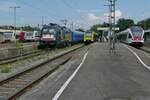  Full House  in Radolfzell am 30.07.2021 - VT 252 der HzL/SWEG nach Stockach, 147 575-5 der DB mit den Wagen des RE / IC von Singen nach Stuttgart, ES 64 U2 - 018 für die RDC Deutschland GmbH mit dem Nachtexpress von Radolfzell nach Westerland (Sylt), 622 965 der SWEG nach Friedrichshafen und 521 010 der SBB von Konstanz nach Engen