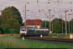 Im Wald der Hektometertafeln und Kilometersteine:  Zwei Bombardier Talent 2, angeführt von 9442 601, schlängeln sich aus dem Bahnhof Röblingen am See.