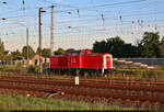 Die im März 2024 wieder zum Leben erweckte 202 885-0 (112 885-9 | 110 885-1 | DR V 100.1) mietete sich auf einem Abstellgleis im Bahnhof Röblingen am See ein.

🧰 Eisenbahn-Bau- und Betriebsgesellschaft Pressnitztalbahn mbH (PRESS), eingesetzt bei der IntEgro Verkehr GmbH
🕓 28.6.2024 | 20:41 Uhr