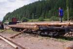 Der SS15 in Aktion: Holzverladung von Hand und mit Traktoren am 12.08.12 in Seebrugg.