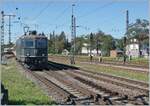 Die grüne SBB Re 4/4 II 11161 erreicht mit ihrem IC von Zürich nach Stuttgart den Bahnhof von Singen (Htw).