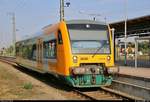 650 739  Bad Saarow  (Stadler Regio-Shuttle RS1) der Ostdeutschen Eisenbahn GmbH als RB 62244 (RB34) nach Rathenow steht in ihrem Startbahnhof Stendal auf Gleis 6.