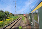 Einfahrt ins Ziel: Stendal Hbf.