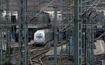 Ein Lücke im Oberleitungsmasten-Wald - 

... lässt den Blick frei auf einen Velaro D, der am Bahnsteig am Gleis 7 auf seine Abfahrt wartet.

Stuttgart-Hbf, 10.01.2024 (M)