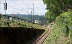 Im Einschnitt - 

... liegt das Gleis der S-Bahnlinie S1, das aus Richtung Esslingen zum Bahnhof Bad Cannstatt führt. Im Hintergrund gleichen sich die Niveaus der Gleise der Remsbahn links und das S1-Gleis an und es bestehen Gleiswechsel. Im Normalfall wechselt dabei die S1 auf das Gleis links daneben und halten wie die anderen S-Bahnen in Richtung Hauptbahnhof auf Gleis 2. Bei baubedingten veränderten Fahrplänen wird unter Umständen Gleis 2 für hier wendende Züge genutzt und die S-Bahnzüge zum Hauptbahnhof halten an Gleis 1, in Verlängerung dieses Gleises.

Der Talent II-Zug ist abweichend vom Normalfall hier auf dem S-Bahngleis der S2 und S3 unterwegs und wird vermutlich auf Gleis 1 einfahren, da Gleis 2 durch eine dort wendende S-Bahn blockiert ist.

18.07.2024 (M)
