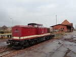 202 484 abgestellt am Bahnhof Torgelow an der alten Panzerverladestelle. 16.11.2015