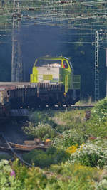 Nachschuss auf den von der Captrain-Diesellokomotive 401 gezogenen Güterzug in Wanne-Eickel. (Juni 2019)