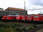 6 verschiedene  Lokschnauzen  in Wanne Eickel Hbf.,Lokpark,
von links 145 078-2,232 694-0,185 330-8,140172-8,151 169-0,155 157-1.(04.10.2008)