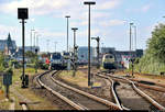 Interessantes Fahrzeugmaterial beim Autotransport von und nach Sylt (VII):  247 909-5  Anne  (Siemens Vectron) der Siemens Mobility GmbH, vermietet an die RDC Autozug Sylt GmbH (Railroad Development