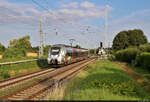 Der für die Region Südharz-Kyffhäuser werbende 9442 612 (Bombardier Talent 2) ist eines warmen Samstagmorgens an der Blockstelle Zscherben unterwegs in die Saalestadt Halle.

🧰 Abellio Rail Mitteldeutschland GmbH
🚝 RE 74725 (RE 8) Leinefelde–Halle(Saale)Hbf
🕓 20.7.2024 | 7:54 Uhr