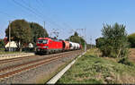 Ein Modellbahn-Starterset, bestückt mit 6193 389-4 (Siemens Vectron), einem Schwenkdachwagen, drei Silowagen sowie 265 020-8 (Voith Gravita 15L BB), zeigt sich Ende August in Zscherben Richtung