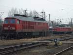 233 314 und 233 586 am 14.3.11 in Zwickau 