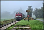 Als Aushilfe für die noch nicht fertige Dampflok 78468 war am 29.09.2024 die Lollo V 160002 vor dem Teutoexpress im Einsatz auf der Teutoburger Wald Eisenbahn. An diesem Tag standen bei Eisenbahn Tradition Pendelfahrten zwischen Lengerich und Bad Laer auf dem Programm. Bei der ersten Tour herrschte teilweise noch dichter Nebel. Aber auch der hat so seinen Reiz, wie ich meine. Hier passiert der Zug gerade den ehemaligen Bahnhof Höste, dessen Bahnsteig Schild weist noch immer auf alte Zeiten hin, als noch regulärer Personenverkehr der TWE bestand. 