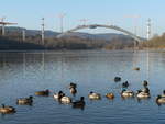 29.12.2008, Baustelle der Brücke über den Froschgrundsee bei Rödental im Zuge der neuen ICE-Trasse.