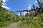 Die Ziemestalbrücke ist das höchste und beeidruckenste Bauwerk der Thüringer Oberlandbahn zwischen Triptis und Unterlemnitz. 1893 bis 1895 erbaut hat sie eine Länge von 115 Metern und eine Höhe von 32 Metern sowie einen Bogenradius von 193 Metern. Besonders auffällig ist hierbei das man nicht wie sonst oft üblich Stein sondern Stahl als Baustoff genommen hat. Dies war unterem anderem auf die hohen Transportkosten in Ziemestal zurück zu fähren weshalb man sich für den modernsten Baustoff zu damaliger Zeit entschied und zwar Stahl. Der Personenverkehr wurde am 24. Mai 1998 eingestellt und der Güterverkehr wenige Monate später Ende 1998. Seit dem 1.1.2005 ist die Strecke offiziell stillgelegt. Seit vielen Jahren rollen nun nur noch Draisinen über die denkmalgeschützte Ziemestalbrücke. 

Remptendorf 01.08.2023