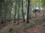 Das Widerlager und das erste Pfeilerfundament des einst grten sthlernen Schmalspurviaduktes in Deutschland, dem Greifenbachviadukt, im dunklen Geyrischen Forst.