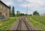 Blick zu den Rangiergleisen der Anschlussbahn nach Halle-Osendorf und Lochau in Halle-Ammendorf.