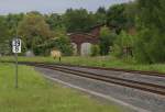 Im Dornröschenschlaf liegt ein Teil des ehemaligen Bahnhofs Mühlhausen in Thüringen.
Der an der Bahnstrecke 6296 Gotha - Leinefelde liegende Bahnhof hatte früher eine Lokeinsatzstelle als Außenstelle des Bahnbetriebswerkes Eisenach.
Mühlhausen im Thüringischen Eichsfeld lag nicht nur an der Hauptstrecke sondern war Ausgangspunkt der Strecke (6736) nach Treffurt.
Die Strecke nach Treffurt fiel 1952 der Grenze DDR - BRD zum Opfer.
Ebenso war Mühlhausen Endpunkt der Bahnstrecke aus Ebbeleben.
3 Gleise für den Personenzugdienst sind noch in Mühlhausen geblieben, von den Gütergleisen ist bis auf zwei Gleise nur noch eine freie Fläche zurück geblieben, die von der Natur langsam wieder eingenommen wird.
25.05.2013