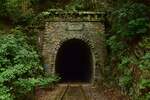 Blick auf das Tunnelportal des Hemmkoppentunnels bei Ziegenrück aus Richtung Ziegenrück. Der Tunnel wurde 1893/94 erbaut. Der Personenverkehr wurde am 24. Mai 1998 eingestellt und der Güterverkehr wenige Monate später Ende 1998. Seit dem 1.1.2005 ist die Strecke offiziell stillgelegt. 

Ziegenrück 01.08.2023