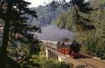 01 1100 wird mit ihrem Sonderzug nach Bayreuth in Krze den Hufstttetunnel bei Rupprechtsstegen verruchern (Juni 1985).