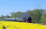 Die ab Osnabrück Hbf eingesetzte 01 1066 der UEF zieht am 07.05.16 den Sonderzug Menden - Hamburg Hbf der AG Westfalendampf anläßlich des 827.