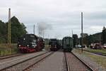 Treffen zweier Dampfloks und einem Hofhund (Köf) am Abend des 12.08.2017 auf dem Museumsgelände der IG 3Seenbahn e.V.