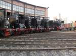 Saisonabschlu im Eisenbahnmuseum Dresden Altstadt am 03.10.09,
www.igbwdresdenaltstadt.de