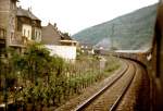 Hier befindet sich anno 1975 die 01 1061 mit ihrem schnen Sonderzug bereits auf der Rckfahrt am Rhein entlang zwischen Koblenz und Kln, mit reichlich Versptung, trotz Ausfalls der Fotohalte und