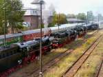 Aufstellung der Dampflokomotiven vor der Parade in Schneweide, 2006