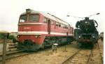 Zwei Bahnlegenden auf einer Lokausstellung im Juli 1998 in Wismar.Neben der 03 1010 Taigatrommel 220 198.