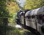 Anfang Oktober merkte man schon deutlich, dass der Herbst Einzug hlt, so wie die 03 1010 beim erklimmen der Steigung durch den Wald zwischen Plaue und Oberhof die losen Bltter aus den Bumen