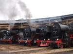 03 1010-2 aus Halle/Saale, 52 8173-8 (versteckt), 44 1486-8 der Eisenbahnfreunde Staßfurt e.V., 52 8131-6 der Wedler und Franz GbR (WFL) sowie 52 8177-9 der Eisenbahnfreunde Berlin zusammen am