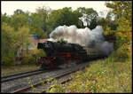 Mit rund einer Stunde Verspätung und Volldampf kommt Dampflok 023 058-1 (Eurovapor) am 19.10.2024 mit dem Sonderzug aus Mönchengladbach in Gamburg aus dem dortigen Tunnel. Unter dem Motto  Auf den Spuren der Baureihe 23 in Lauda  wollte der Veranstalter NostalgieZugReisen an die gute alte Bundesbahn-Zeit und ehemalige nordbadische Dampflok-Hochburg erinnern. 