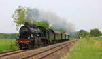 Am 24.05.2015 dampft 38 3199 mit Sonderzug zwischen Öhringen und Neuenstein über die Hohenlohebahn. 