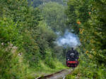 Umgeben von sommerlich grüner Flora bewegt sich die Dampflokomotive 38 2267 mit ihrem Sonderzug durch Hattingen.