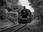 Die Dampflokomotive 38 2267 schnauft sich durch das Hattinger Grün, so gesehen an einem sommerlichen Samstag im August 2024.