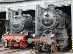 Dampfspektakel 2010. Zwei mchtige Dampfrsser (38 1772 und 58 311) schauen aus dem Lokschuppen des BW Gerolstein. Aufgenommen am 05/04/2010.