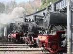 38 1772,52 8134-0,78 468,und die T11 des Mindener Preuenzuges stehen am 6.4.10 im Lokschuppen des historischem BW Gerolstein.