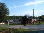 BR 41 mit Sonderzug am Bahnbergang in Sohl/Vogtland  Sept.2005