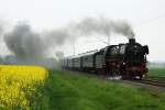 41 096 mit einem Dampfsonderzug am 2.5.10 bei Winninghausen.