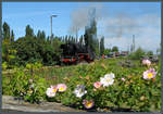 Anlässlich eines Bahnhofsfestes werden auf dem Gelände des Bw Staßfurt am 31.05.2014 Führerstandsmitfahrten auf der Traditionslokomotive 44 1486-8 angeboten.