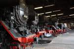 Dampflokpaarade im Lokschuppen des Eisenbahnmuseum Chemnitz-Hilbersdorf am 24.05.09.