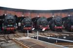 Br 44 1338, Br 86 1501-5, Br 80 023 und Br 52 4924 standen beim 19.