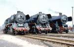 44 0296-2 zwischen 50 3625-6 und 52 6373 anllich einer Sternfahrt in Karow, Mai 1981 - das hat man liebevoll arrangiert und die Eisenbahnfans waren gern bereit die Loks fr eine Fotosession