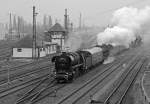 Lokzug mit 44 1486-8, 50 3708-0 und  41 096 am Zugschlu, sowie diversen Begleiterwagen und Wagen des  Salzlandexpress  von Stafurt zum Dampfloktreffen nach Dresden, 05.04.2013.