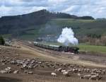 50 2740 mit Sonderzug von Gerolstein nach Ulmen am 2.