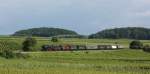 Die Dampflok 50 2740 bei Burkheim am Kaiserstuhl bei der Sonderfahrt nach Riegel.