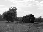 50 3610-8 und 202 822-3 am Abzweig Srichen in Horka am 04.06.2010