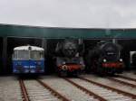 Der 5081 001, die 50 3519 und die 657 2770 am 12.06.2011 im Ampflwanger Museum.