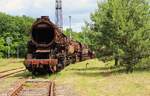 Am 10.06.17 war wieder Tag der offenen Tür bei der Loksammlung Bernd Falz in Falkenberg/Elster.